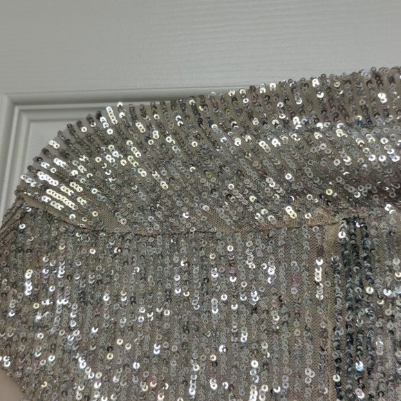 INMFL Alexandria silver sequin mini dress - Picture 10 of 12